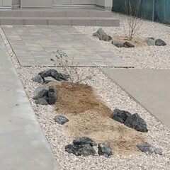 ロックガーデン 庭石 29個の画像