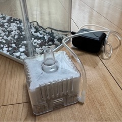 【決定】水槽セット の画像