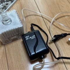 【決定】水槽セット の画像