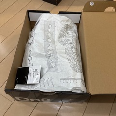 NIKE ナイキ AIR MAX DN8  エアマックスDN8 ブラック BLACK 27cm ボルトの画像