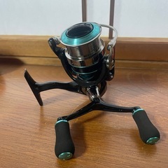 エギングに！16エメラルダス 2508PE-H-DHの画像