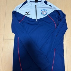 ヴァンフォーレ甲府移動着の画像