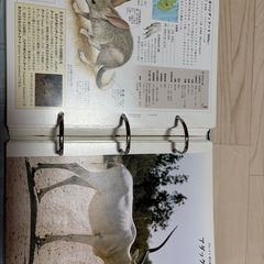 すばらしき野生の王国 図鑑の画像