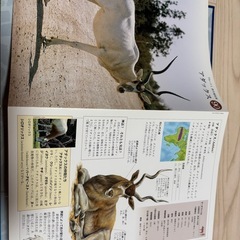 すばらしき野生の王国 図鑑の画像