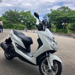 マジェスティ155の画像