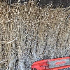 藁　新米有り🌾の画像