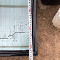 珍しい水槽　熱帯魚　金魚　メダカの画像