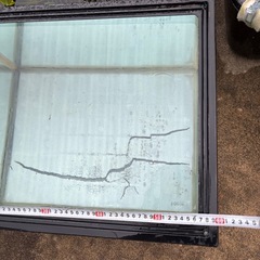 珍しい水槽　熱帯魚　金魚　メダカの画像