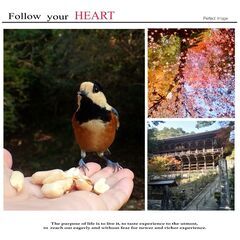 【終了しました】12.2 紅葉の書写山ゆるゆる歩き🍁