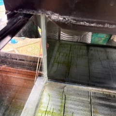 90センチ 水槽　熱帯魚　メダカ　金魚の画像