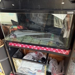 90センチ 水槽　熱帯魚　メダカ　金魚の画像