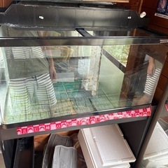 90センチ 水槽　熱帯魚　メダカ　金魚の画像