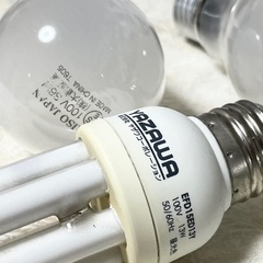 電球の画像