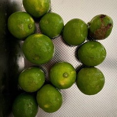 スダチの画像
