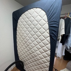 電子レンジ+αの画像