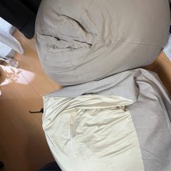 電子レンジ+αの画像