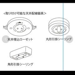 ⭐️Francfranc⭐️ムーンプランツ 照明の画像