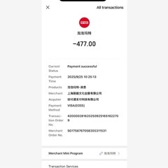 正規品】SKULLPANDA YouFoundMeの画像
