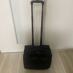 サムソナイト　旅行カバンの画像