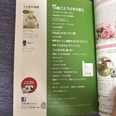 うさぎ🐰雑誌 2冊セットの画像