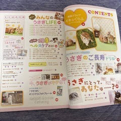 うさぎ🐰雑誌 2冊セットの画像