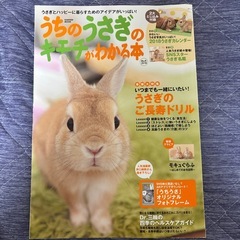 うさぎ🐰雑誌 2冊セットの画像