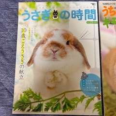 うさぎ🐰雑誌 2冊セットの画像