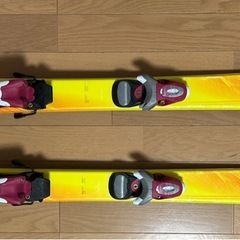 スキーキャリアとスキー板の画像