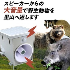 イノシシ・小動物防除威嚇機「里山のボイス・ボス」 イノシシ 猪 畑 害獣 威嚇 威嚇機 大音量 100dB以上 軽量 コンパクト センサー感知 獣害被害 ソーラー充電 大容量バッテリー 21600mA 防水防塵 高耐久の画像