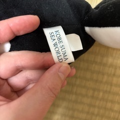 シャチ🐬︎ ̖́-ぬいぐるみの画像