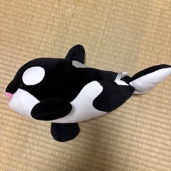 シャチ🐬︎ ̖́-ぬいぐるみの画像