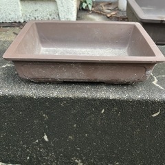 盆栽鉢の画像