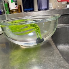 金魚鉢の画像