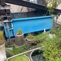 水槽　取り外し引き取り全て可能な方限定の画像