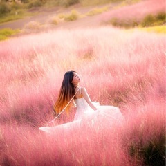 sigma art 85mmf1.4 Sonyカメラよう用の画像