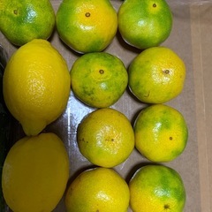 フルーツと野菜のセットをお譲りします。の画像