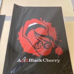 Acid Black Cherry グッズ
の画像