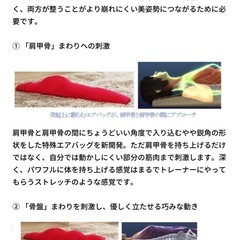 エアリービューティポール
の画像