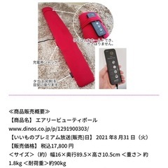 エアリービューティポール
の画像