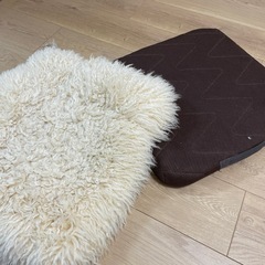 ローチェアクッションの画像
