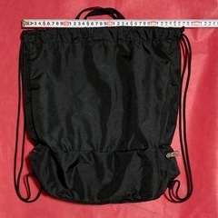 【新品】NIKEナイキ　スイムバッグ　2ルームプールバッグ 　ブラック　の画像