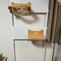 壁面キャットウォークの画像