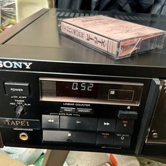 SONY555ESRの画像