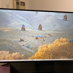 LG 42.5インチモニター 43UN700 中古の画像