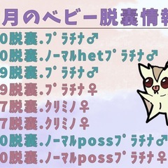 フクロモモンガ 脱囊情報 🍁🍄🌰