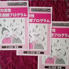 脳力活性 12週間プログラムの画像