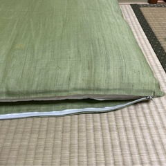 薄緑色 リネン風　座布団 2枚セットの画像