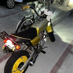 APEの画像