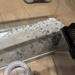 お魚飼育セットの画像