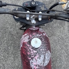 ストリートマジック 
不動車の画像